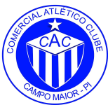 Escudo Comercial PI